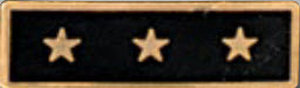 Premier Emblem Enameled Service Stars - red-diamond-uniform-police-supply