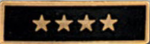 Premier Emblem Enameled Service Stars - red-diamond-uniform-police-supply
